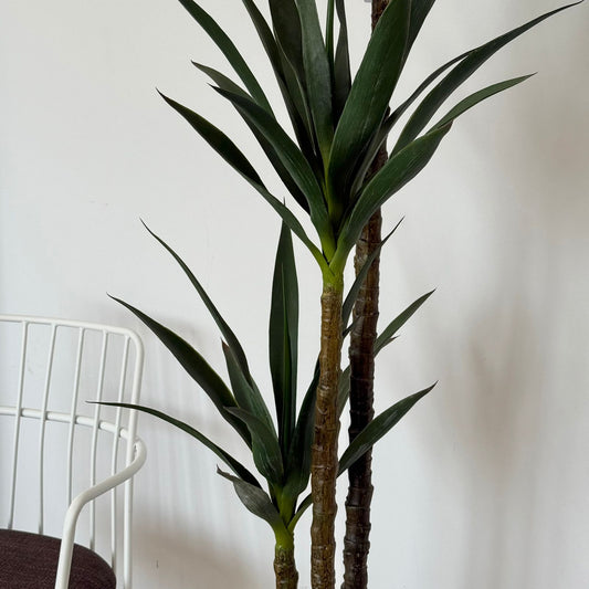 Yucca Elegance Artificial Plant