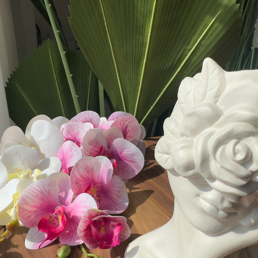 Contempo Bloom Vase & Planter