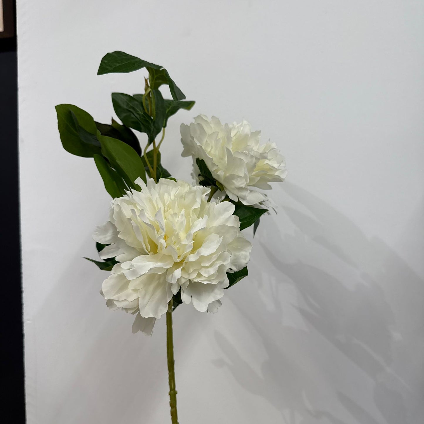 Blush London Peony Stem