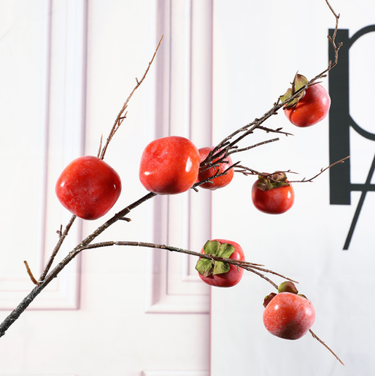 Fruit Flat Persimmon Branch - False Fruit