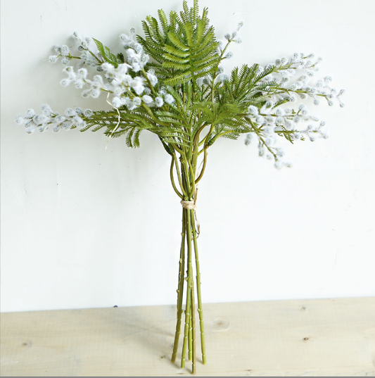 Plant Hair Acacia Beans - False Flowers