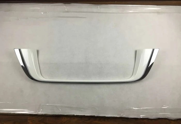 Toyota Land Cruiser 2020 Rear License Plate Molding Cover