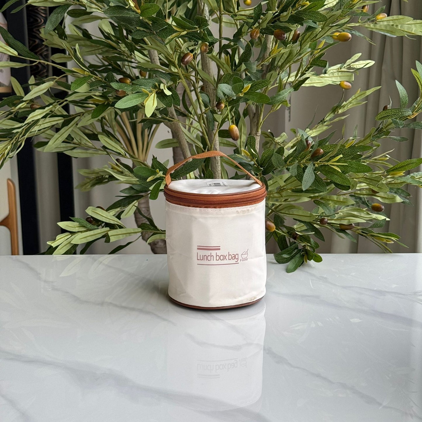 Stainless Steel Insulated Lunch Bowl with Thermal Bag