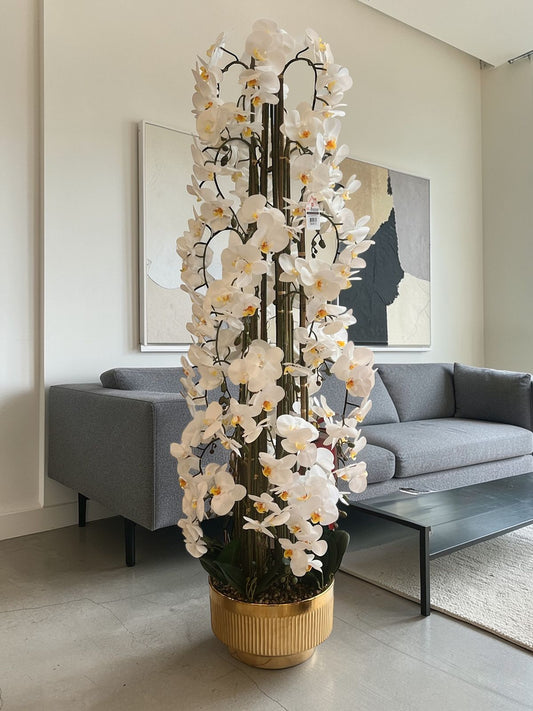تشكيلة زهور أوركيد بيضاء فاخرة مع مزهرية ذهبية مزخرفة