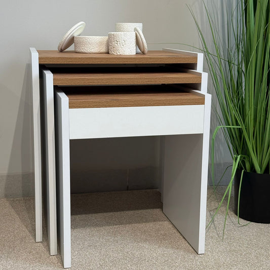 Modern Coffee Table with Matching Nesting Tables