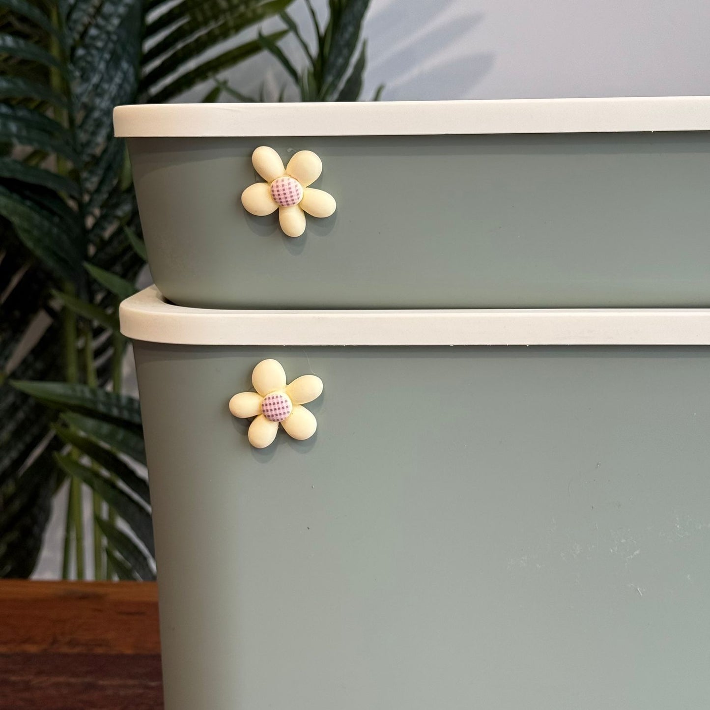 Modern Multi-Purpose Storage Container with Lid