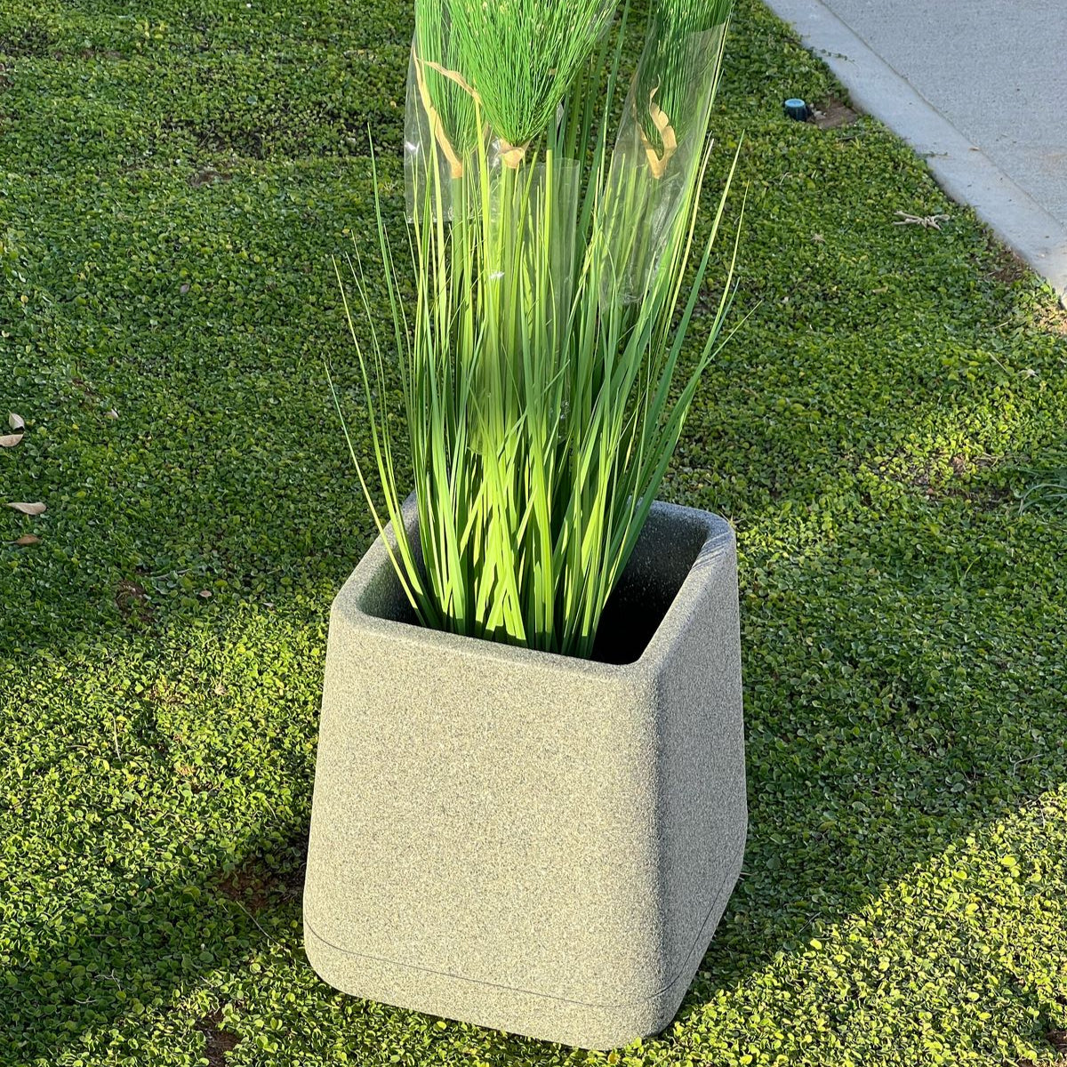 Indoor/Outdoor Modern Plant Pot