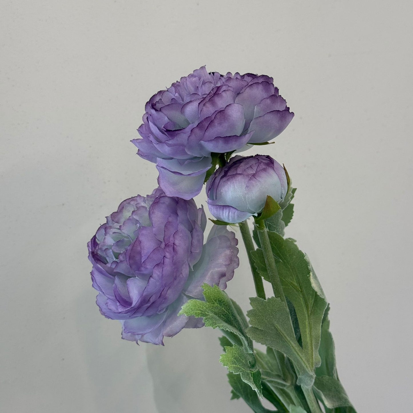 ألف زولو ليان - زهور زائفة