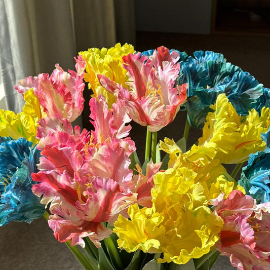 Parrot Tulip - False Flower