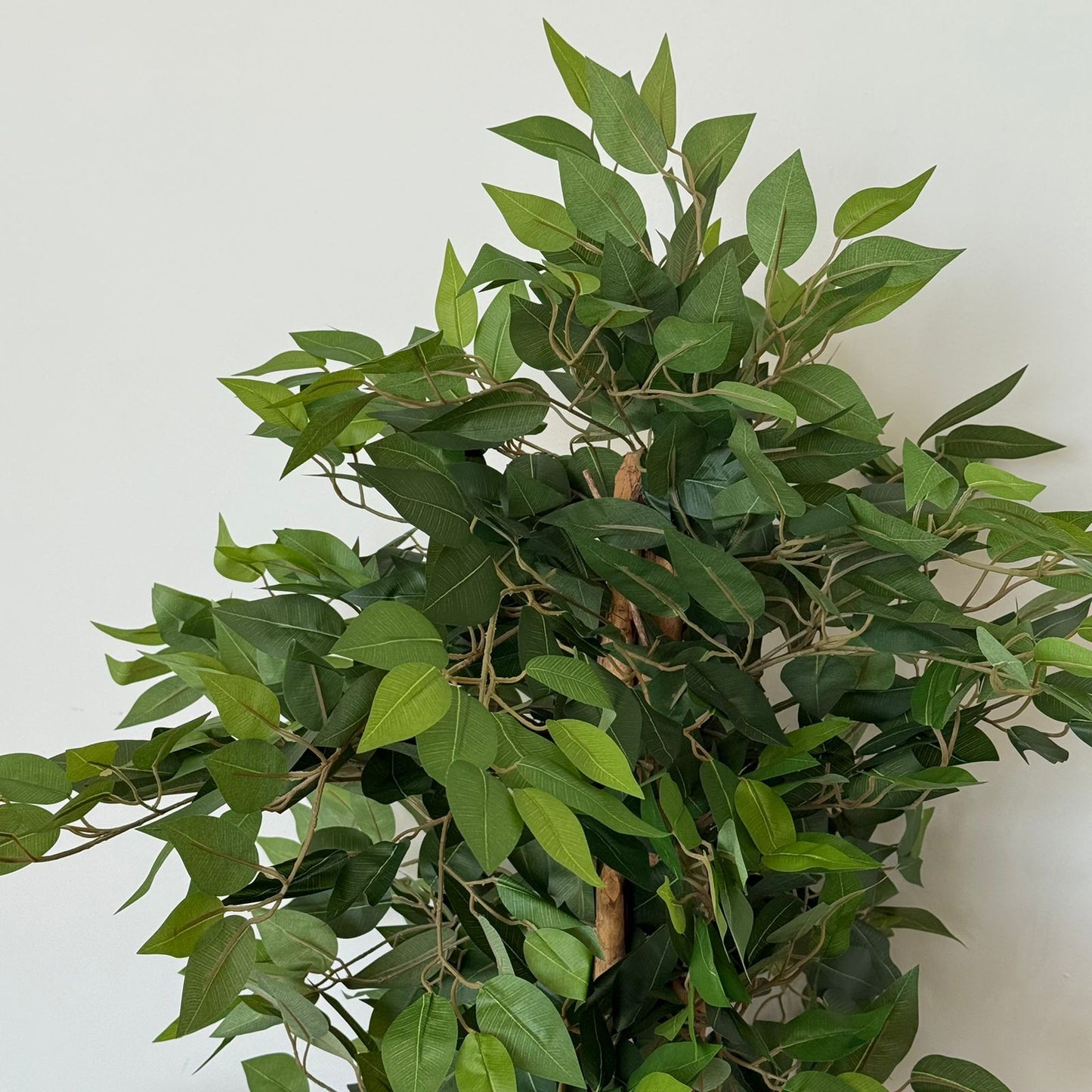 ديكور نباتي اصطناعي أنيق