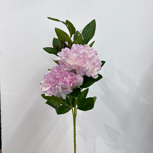 Blush London Peony Stem