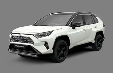 Toyota RAV-4 2019 Seat Covers