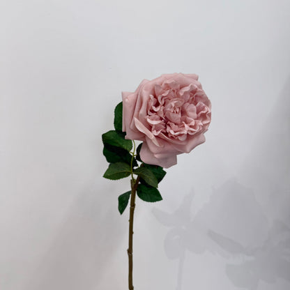 Everbloom Garden Rose Stem