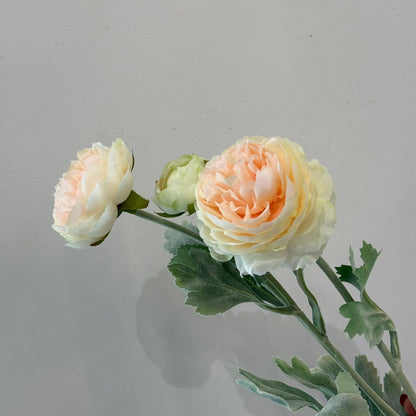 ألف زولو ليان - زهور زائفة