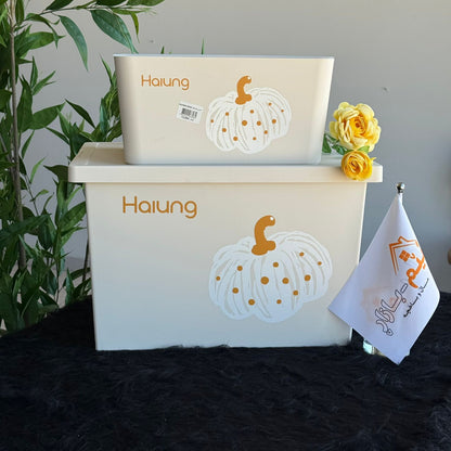 Multi-Purpose Storage Boxes -2-Sizes