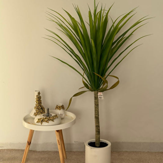 Modern Yucca Palm - Artificial Plant