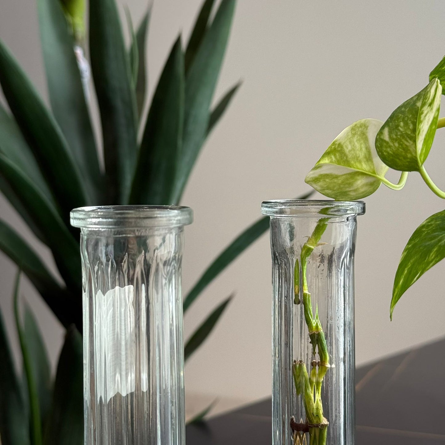 Modern Clear Glass Vase