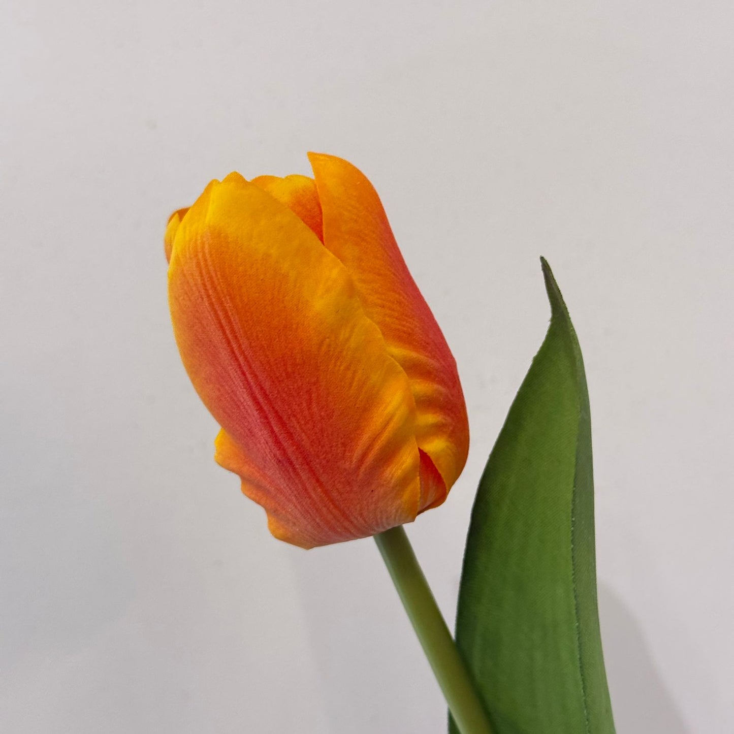Tulip Artificial Flower Stem