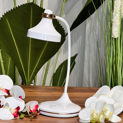 Desk Lamp – Flexible Gooseneck With 3 Color Light Modes