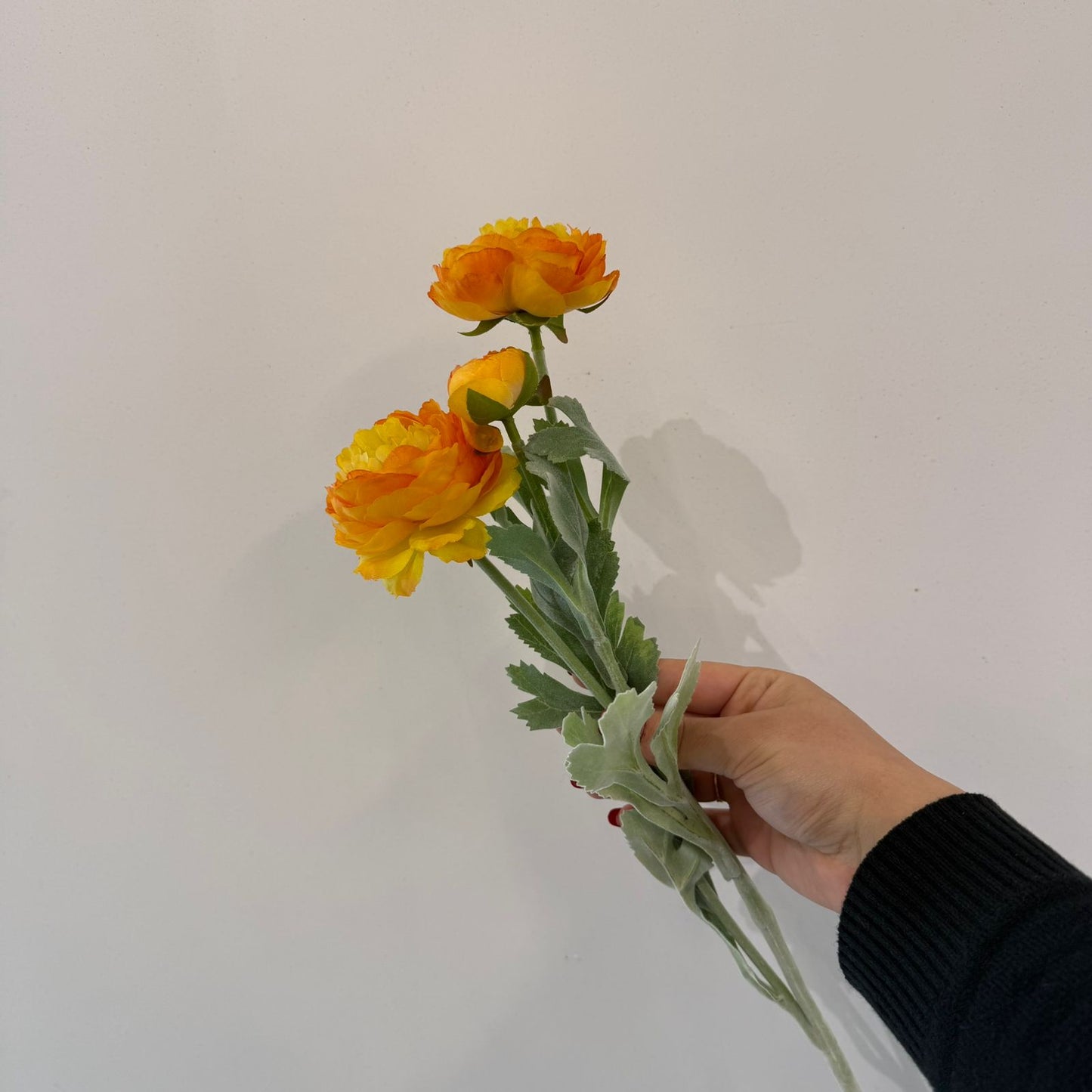 ألف زولو ليان - زهور زائفة