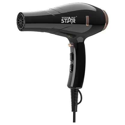 Professional Strong Wind Hair Dryer