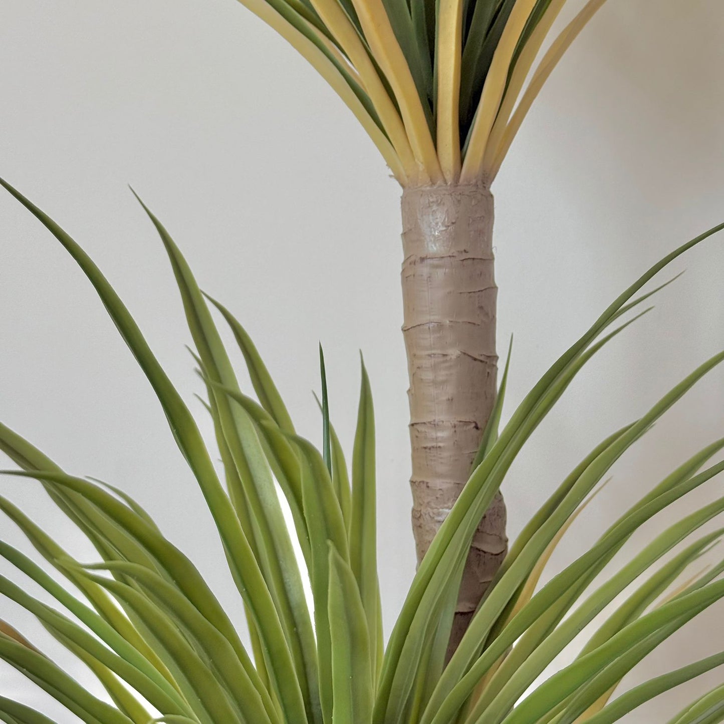 Dracaena Tree - Modern Artificial Plant