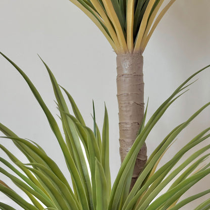 Dracaena Tree - Modern Artificial Plant