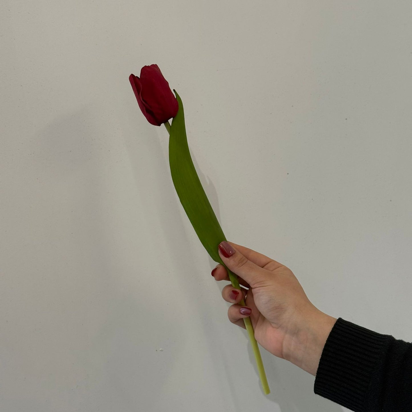 Tulip Artificial Flower Stem