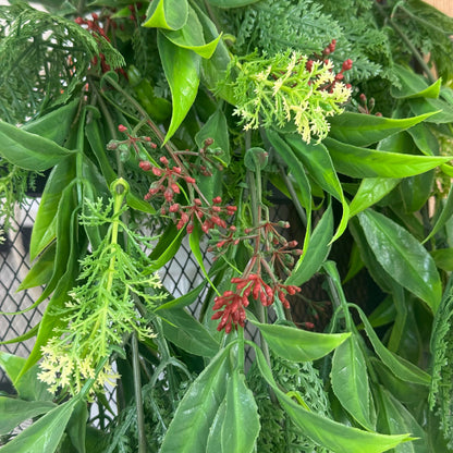 Lush Green Trail - Artificial Hanging Plant