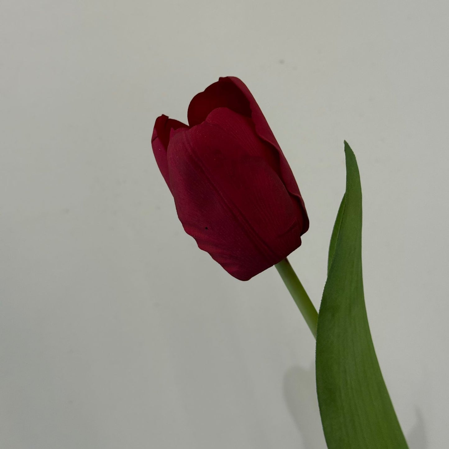 Tulip Artificial Flower Stem