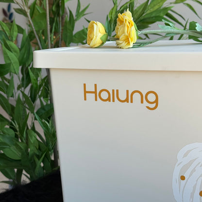 Multi-Purpose Storage Boxes -2-Sizes