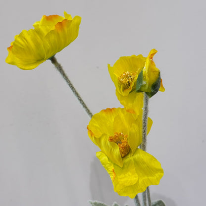 پۆپی ئایسلەندا – گوڵی دەستکرد