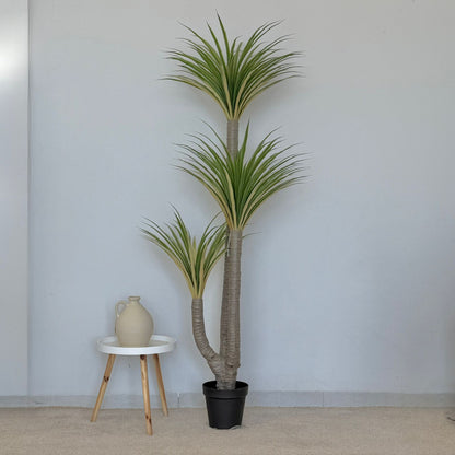 Dracaena Tree - Modern Artificial Plant