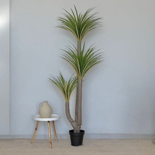 Dracaena Tree - Modern Artificial Plant
