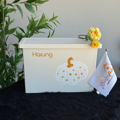 Multi-Purpose Storage Boxes -2-Sizes