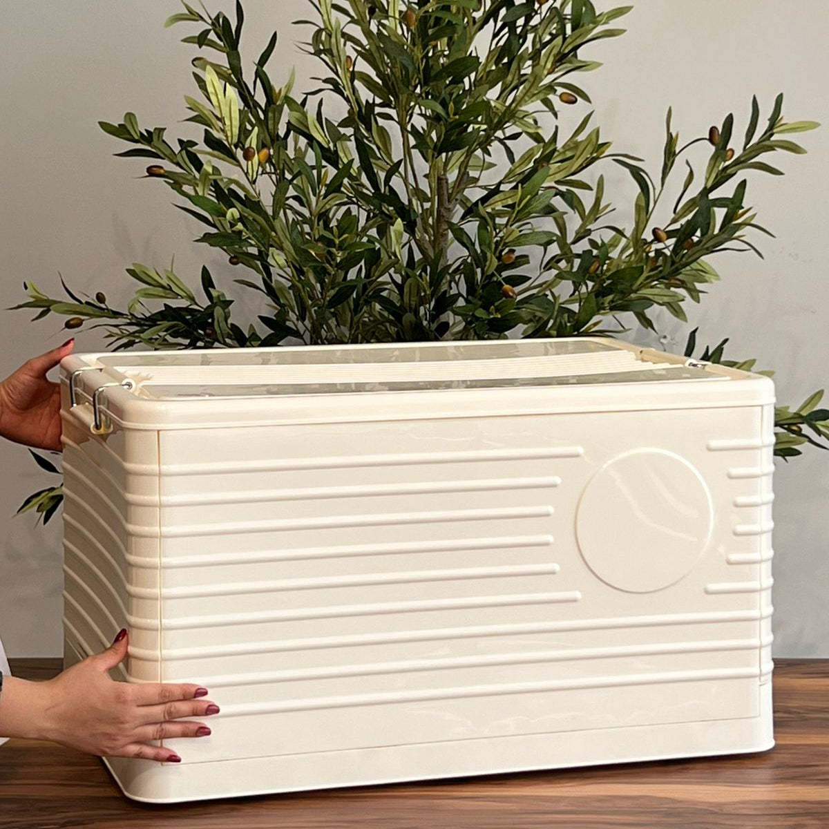 8 Sized  Foldable Multipurpose Storage Boxes