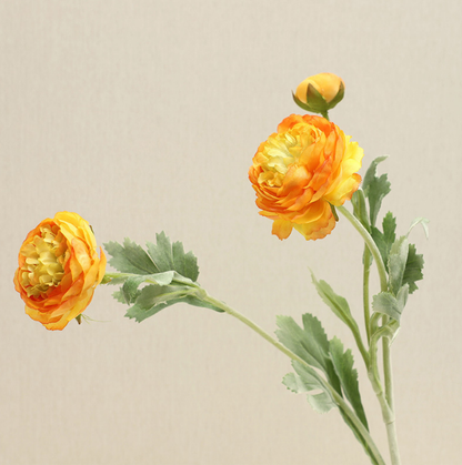 ألف زولو ليان - زهور زائفة