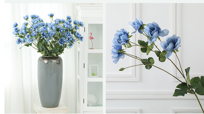 Tree Peony - False Flowers