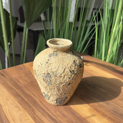 Rustic Terra Duo-Aged Pottery Vases