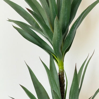 Yucca Elegance Artificial Plant