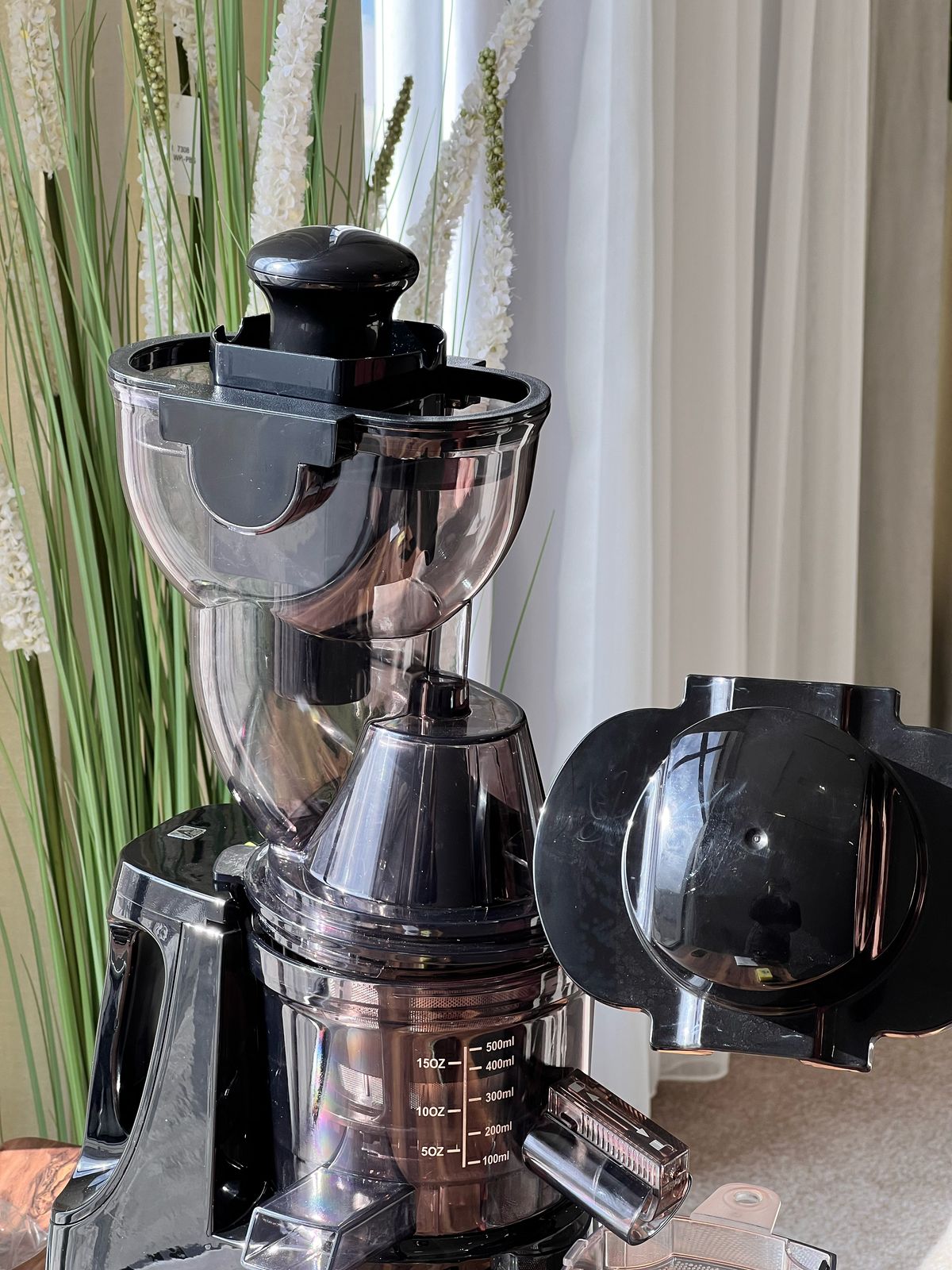 Powerful Press Juicer