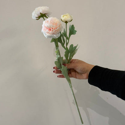 ألف زولو ليان - زهور زائفة