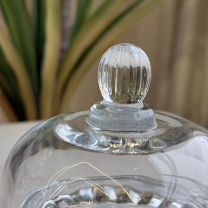 طبق تقديم زجاجي صغير مع غطاء