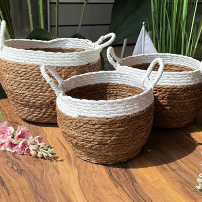 Two-Tone Seagrass Baskets with Handles - Set Of 3