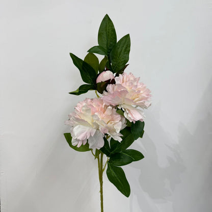 Blush London Peony Stem