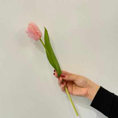 Tulip Artificial Flower Stem