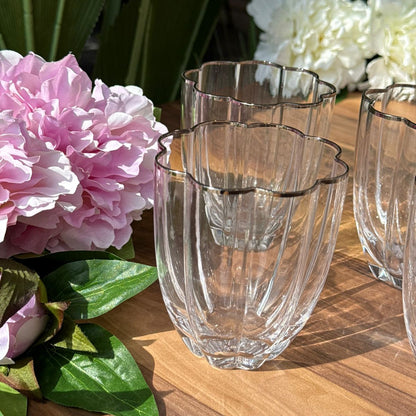 Golden & Silver Rim Crystal Glass Set