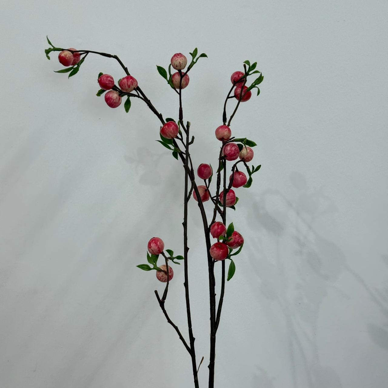 Blush Peach Blossom Fruit Branch