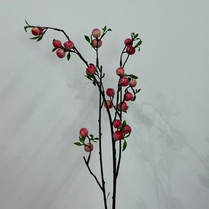 Blush Peach Blossom Fruit Branch