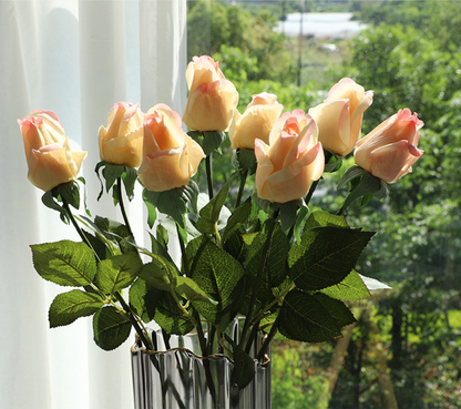 Roses - Roses Before Bloom